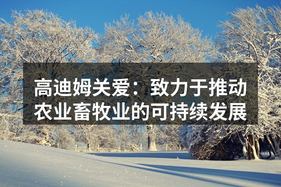 高迪姆关爱团队在现场考察